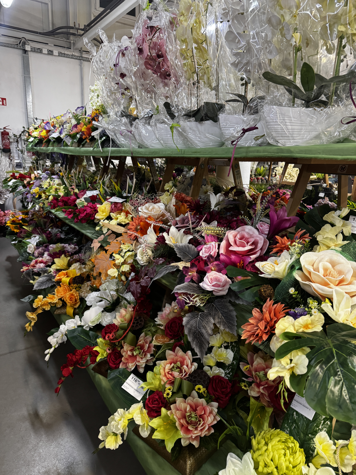 PSB Mrówka Pawłów