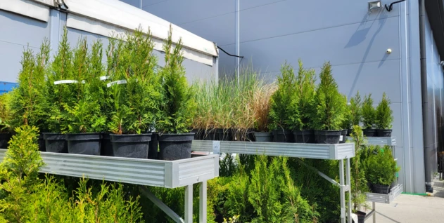 Zdjęcie: HFTRADECO RAFAŁ HERZYK SPÓŁKA KOMANDYTOWA