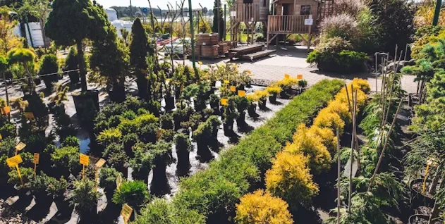 Zdjęcie: "CEMHURT" SPÓŁKA Z OGRANICZONĄ ODPOWIEDZIALNOŚCIĄ