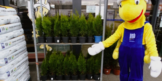 Zdjęcie: PSB AURA SPÓŁKA Z OGRANICZONĄ ODPOWIEDZIALNOŚCIĄ SPÓŁKA KOMANDYTOWA