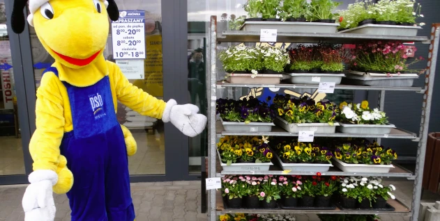 Zdjęcie: PSB AURA SPÓŁKA Z OGRANICZONĄ ODPOWIEDZIALNOŚCIĄ SPÓŁKA KOMANDYTOWA