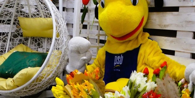 Zdjęcie: PSB AURA SPÓŁKA Z OGRANICZONĄ ODPOWIEDZIALNOŚCIĄ SPÓŁKA KOMANDYTOWA