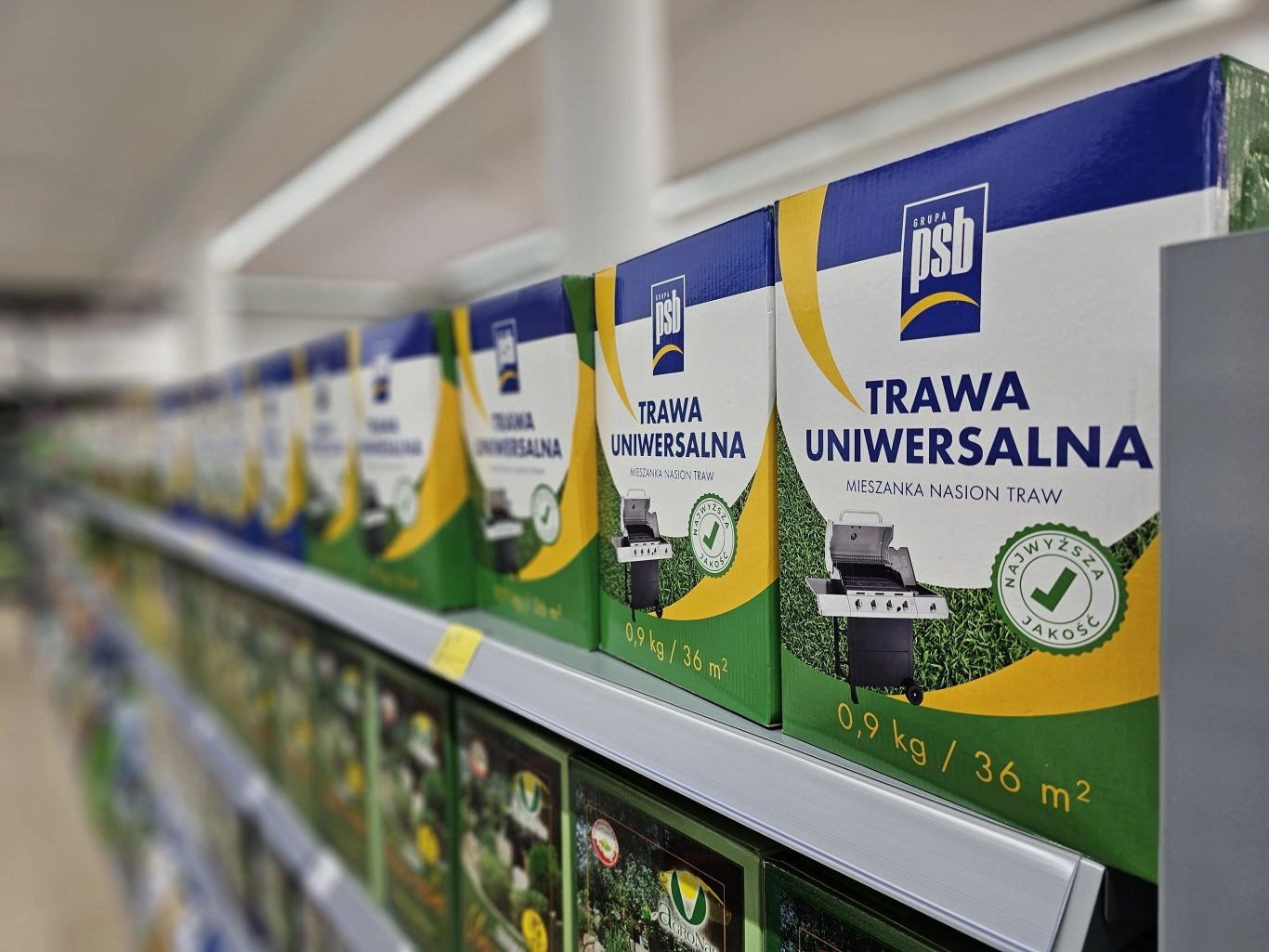 PSB Mrówka Express Lipowa