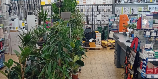 Zdjęcie: HFTRADECO RAFAŁ HERZYK SPÓŁKA KOMANDYTOWA