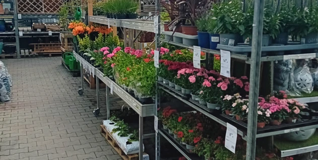 Zdjęcie: HFTRADECO RAFAŁ HERZYK SPÓŁKA KOMANDYTOWA