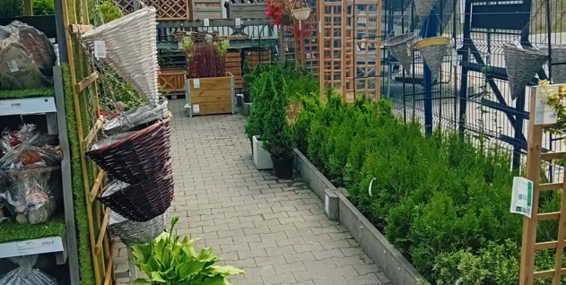 Zdjęcie: HFTRADECO RAFAŁ HERZYK SPÓŁKA KOMANDYTOWA