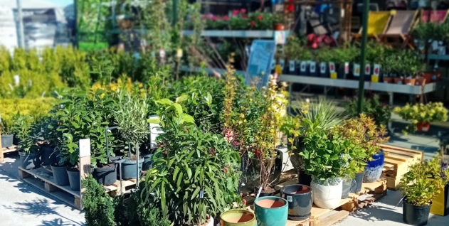 Zdjęcie: HFTRADECO RAFAŁ HERZYK SPÓŁKA KOMANDYTOWA