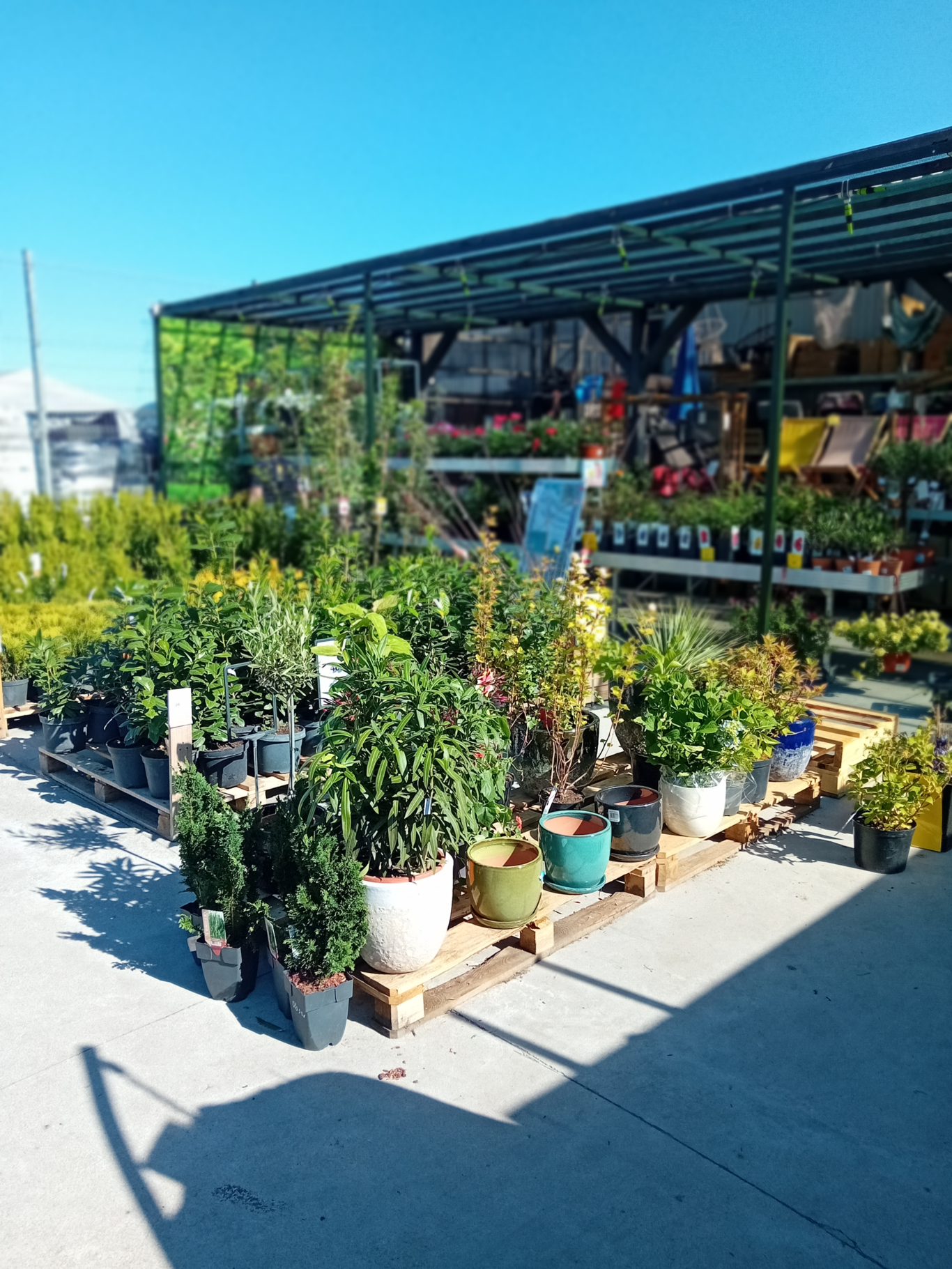 PSB Mrówka Wyszków