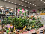 Zdjęcie: PSB MRÓWKA SPÓŁKA Z OGRANICZONĄ ODPOWIEDZIALNOŚCIĄ