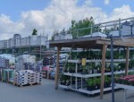 Zdjęcie: PSB MRÓWKA SPÓŁKA Z OGRANICZONĄ ODPOWIEDZIALNOŚCIĄ