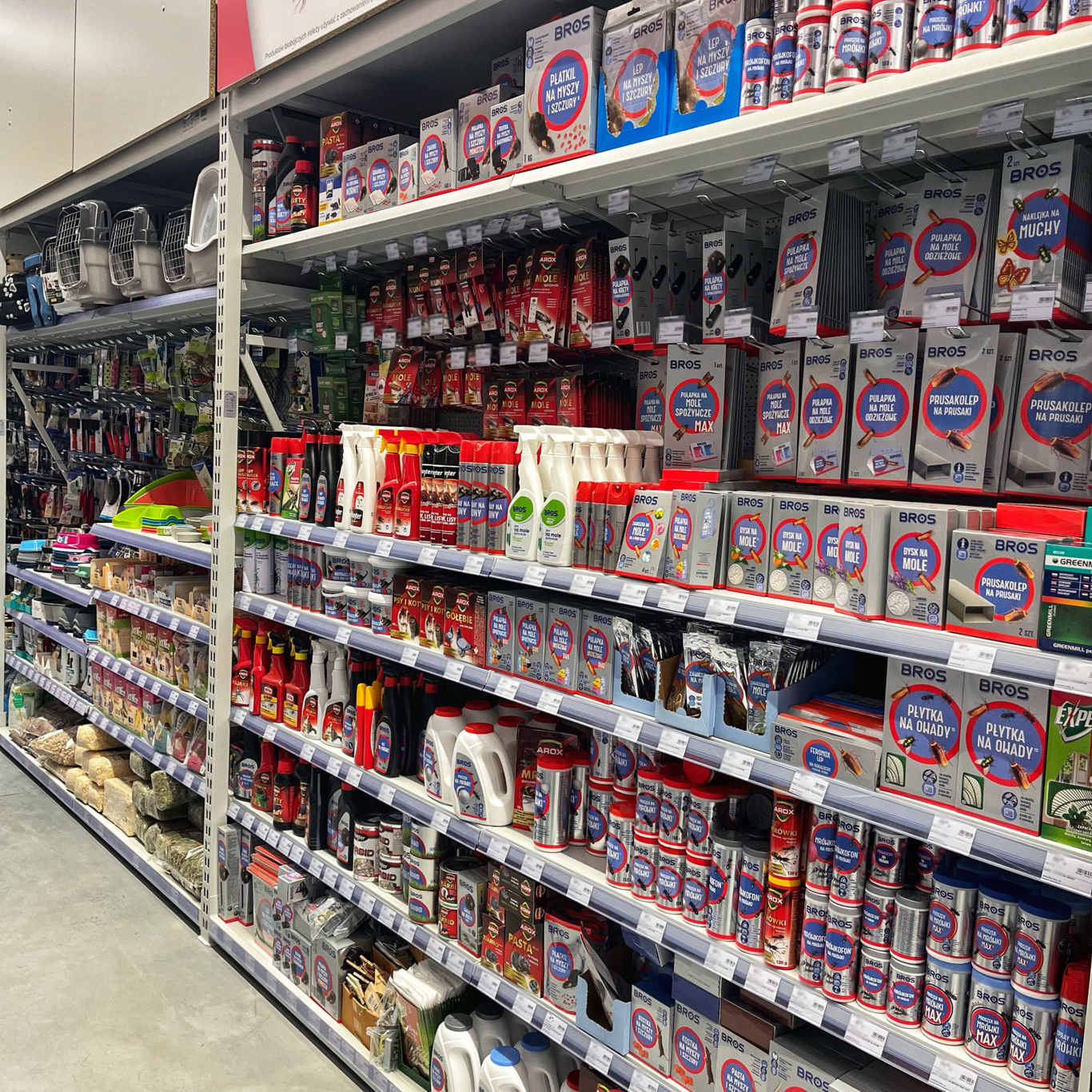 PSB Mrówka Sędziszów ul. Majowa