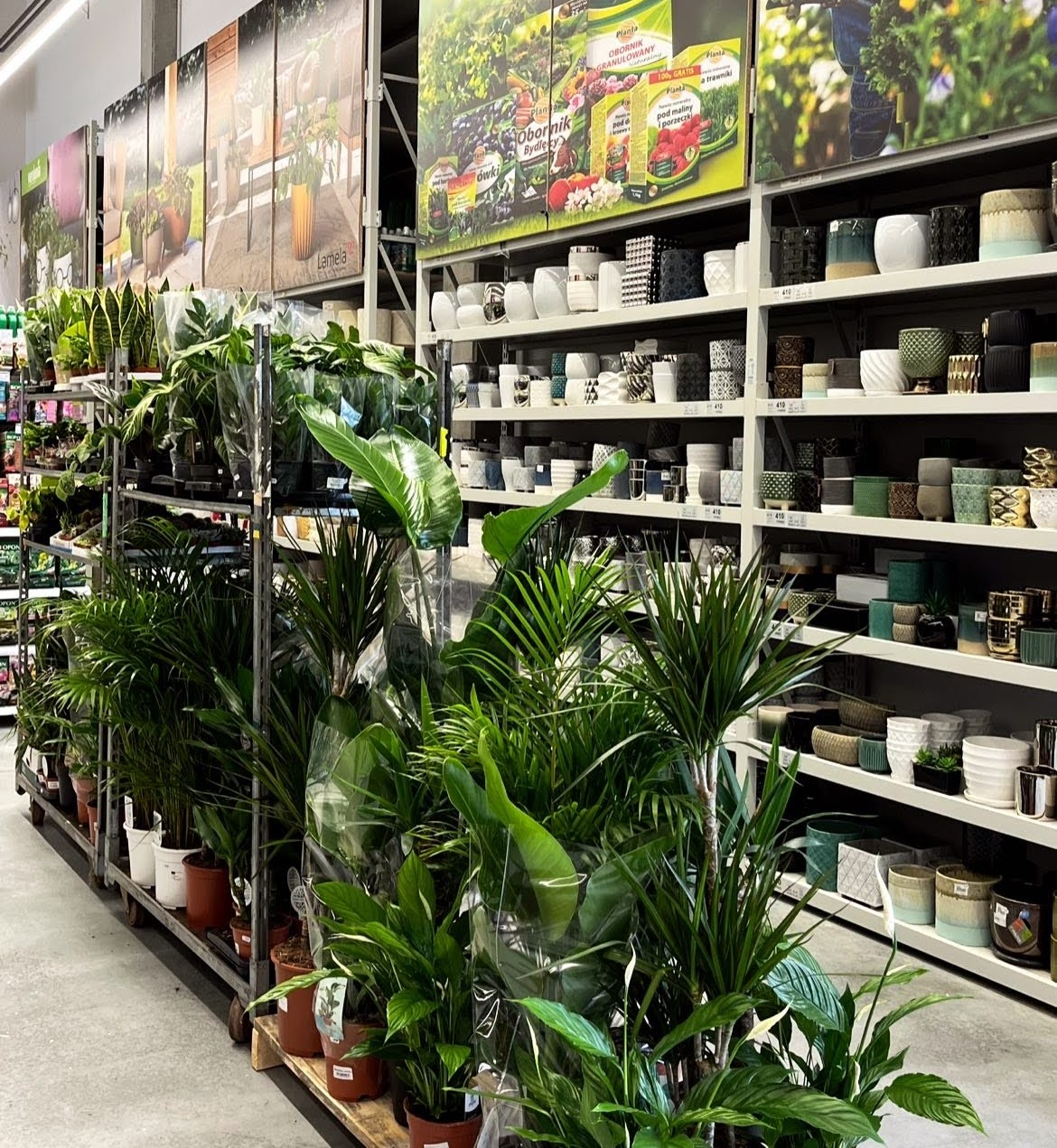 PSB Mrówka Sędziszów ul. Majowa