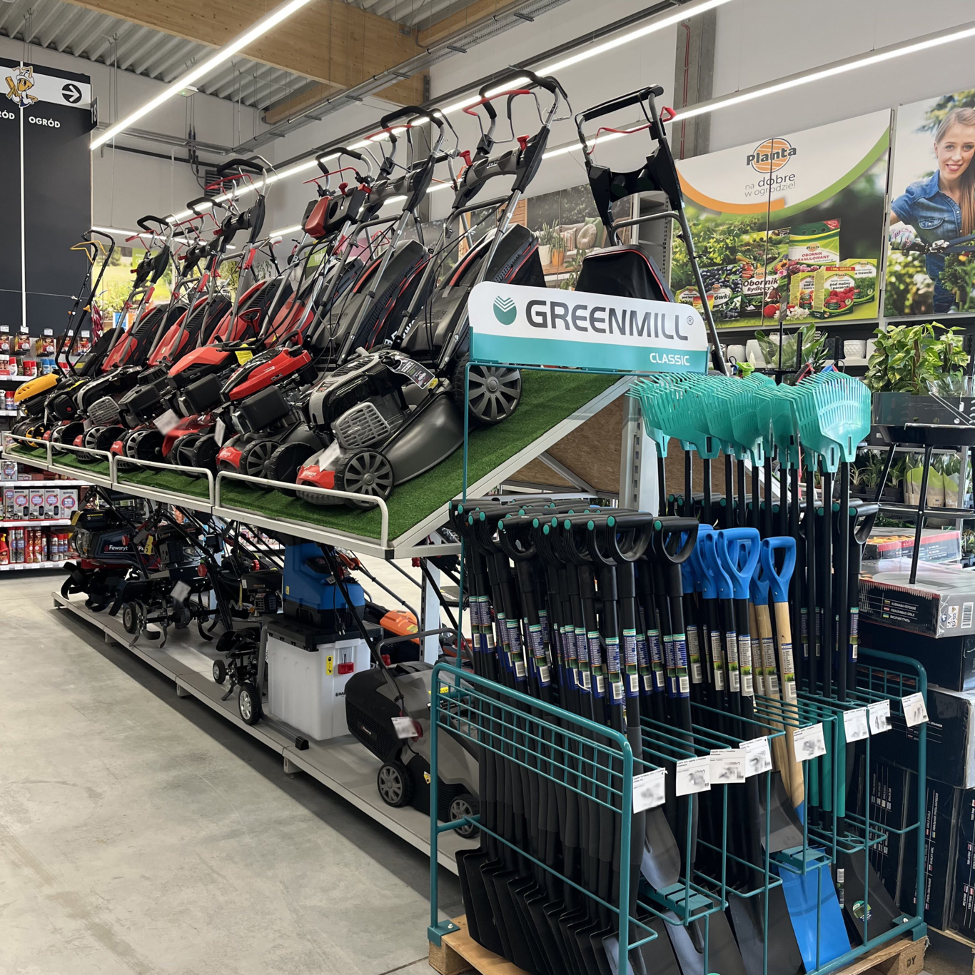 PSB Mrówka Sędziszów ul. Majowa