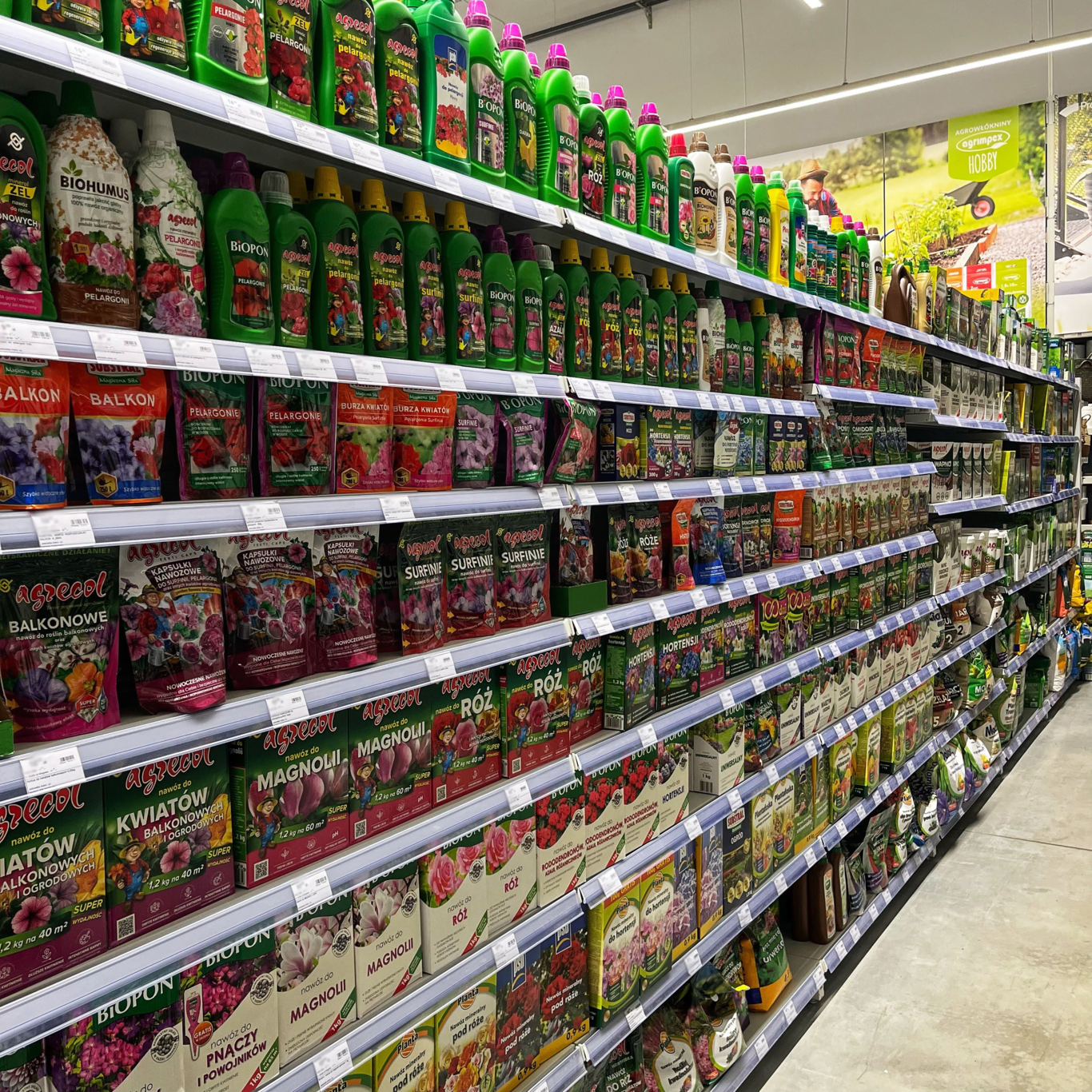 PSB Mrówka Sędziszów ul. Majowa